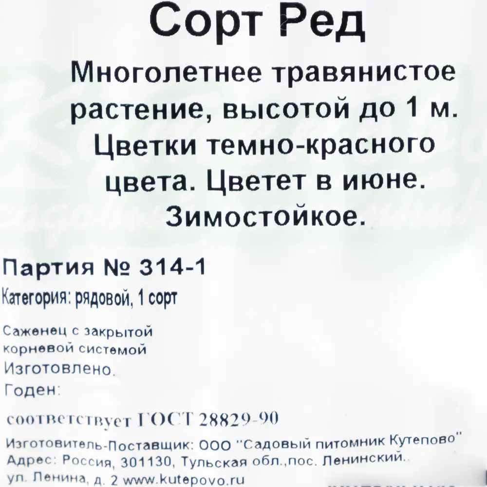 Ирис германский С1 «Ред» 81954815 STLM-2089441 Santreyd  - Вид №1