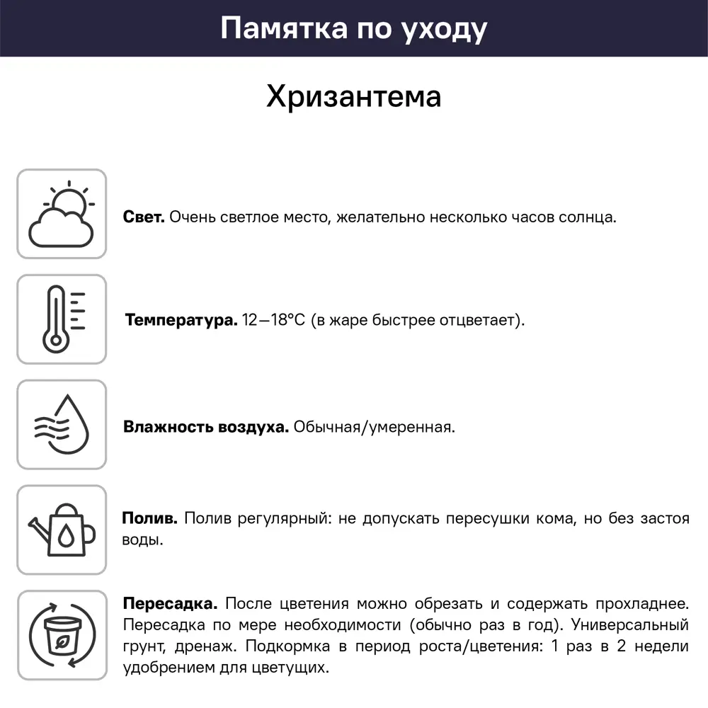 Хризантема микс ø9 h22 см 89436360 STLM-2202641 Santreyd  - Вид №2