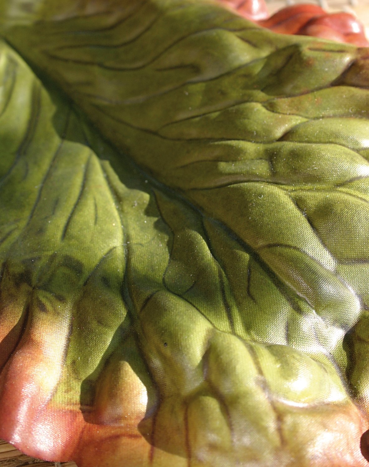 5038 883 a3 Лист Bergenia fake, 41см, зеленый H-andreas 