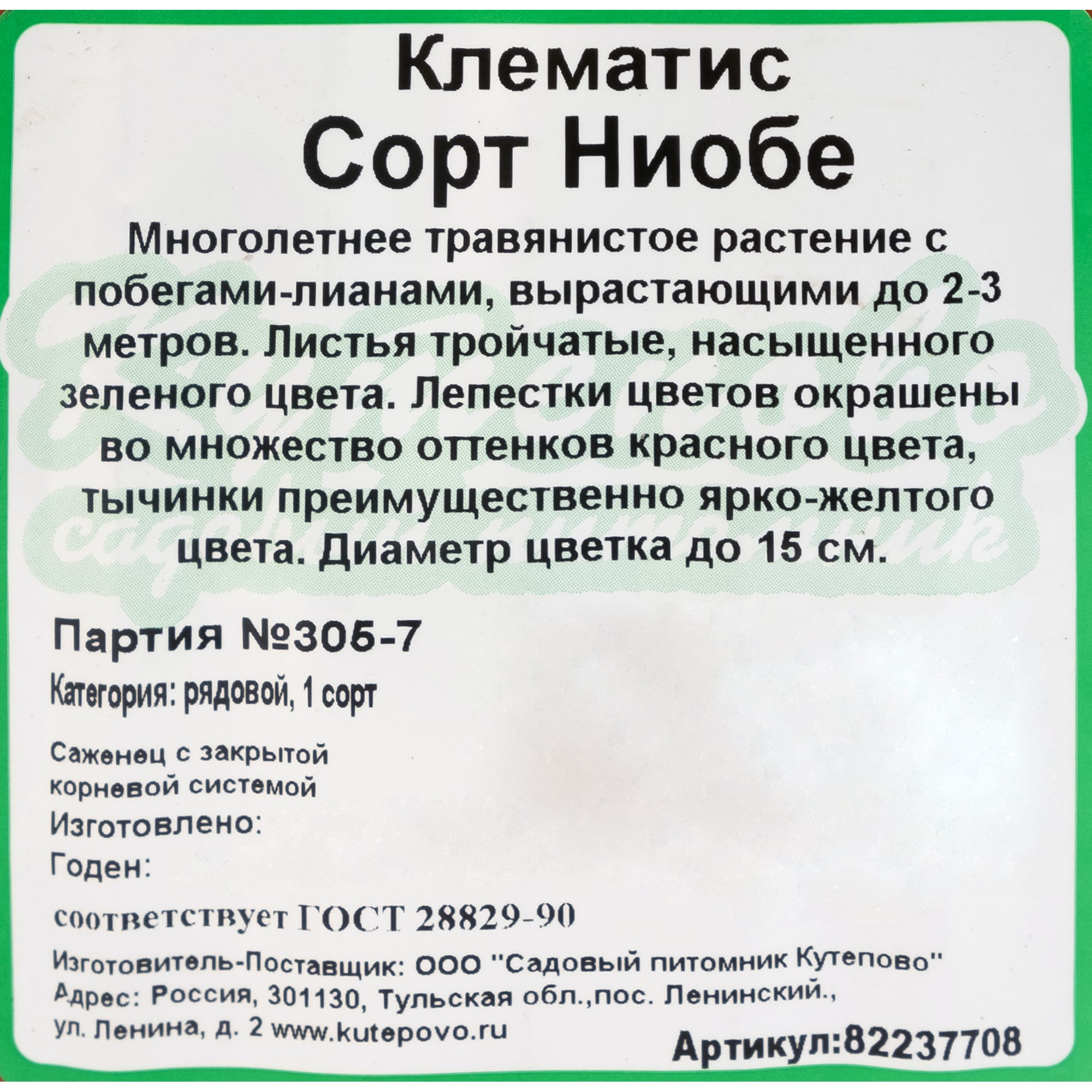 82237708 Клематис крупноцветковый «Ниобе» С1 Santreyd  - Вид №1