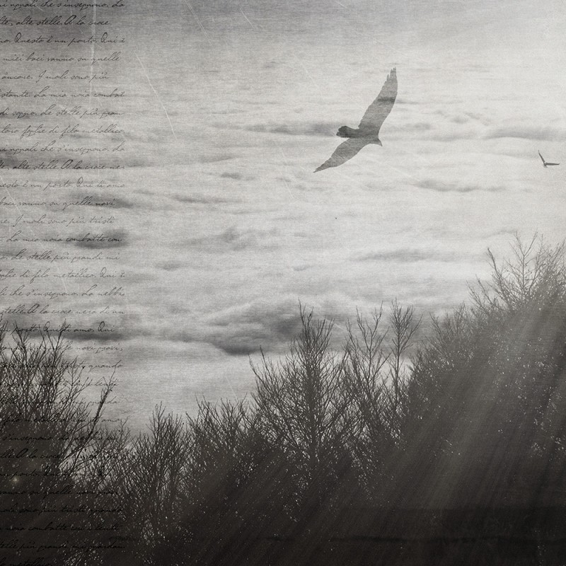 WP02008A Обои декоративные Adriani e Rossi 