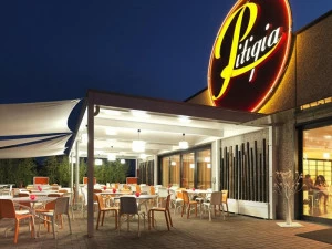 CAGIS Экран для дехоров