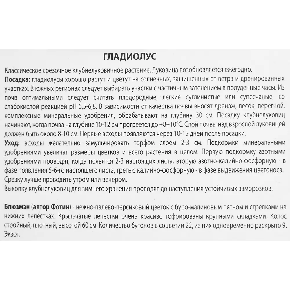 Гладиолус Блюзмэн, 3 шт 86410055 STLM-2006977 ПОИСК  - Вид №2