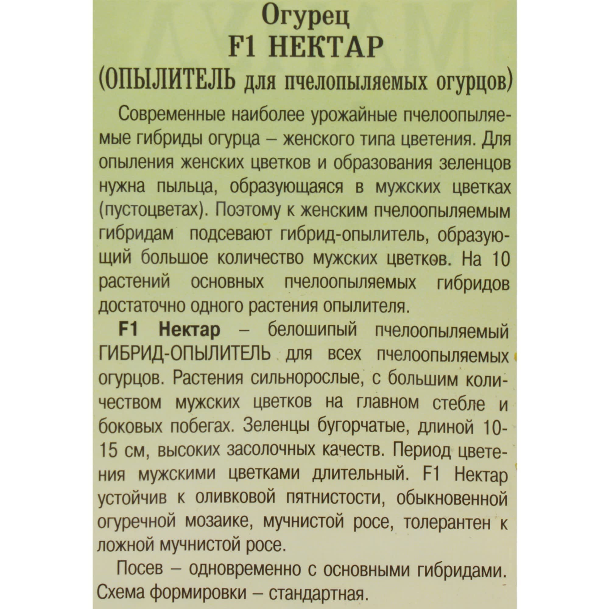 81932532 Семена Огурец «Нектар» F1 (опылитель), Новинка! Santreyd  - Вид №2