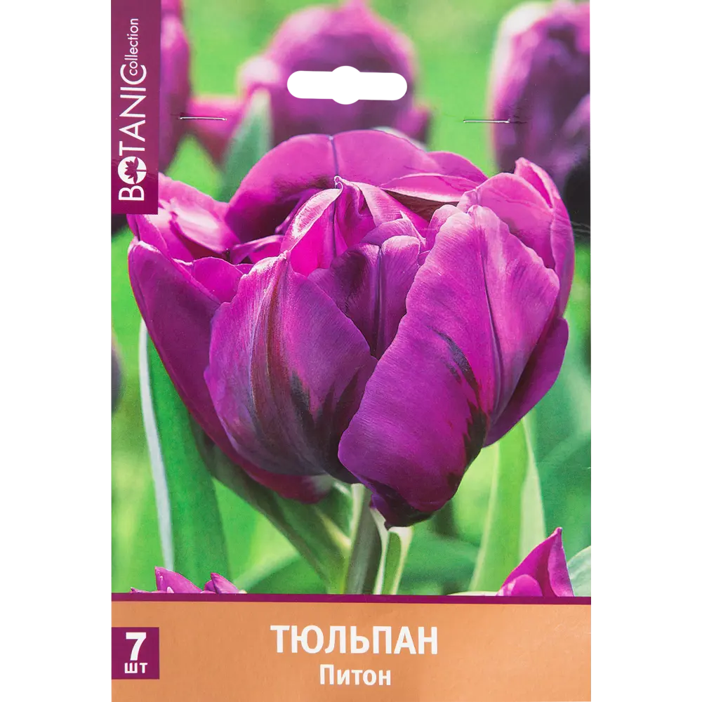 Тюльпан «Питон» размер луковицы 11/12, 7 шт. 82666003 STLM-2085560 BOTANIC COLLECTION 