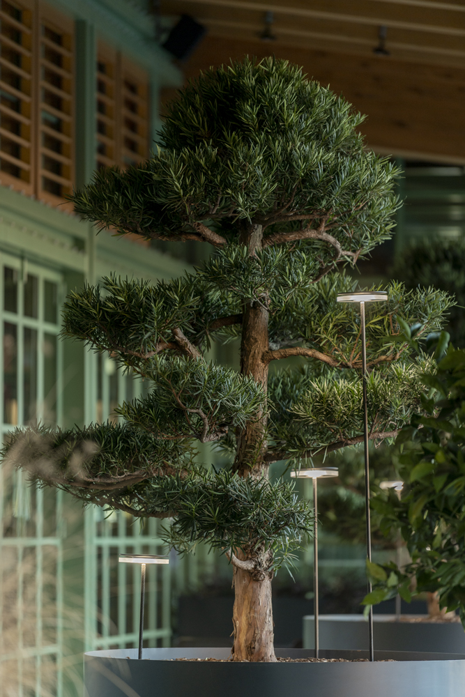 9440366 Мобильный светильник Platek CHIODO Picchetto (mobile)  CHIODO Bollard h. 1700 mm - LED 4000K 93°  - Вид №8