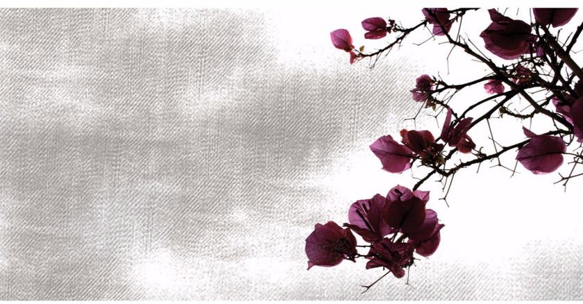 Creativespace Моющиеся флизелиновые обои с цветочными мотивами Wallpaper 2016 sun-id-1470814 - Вид №1