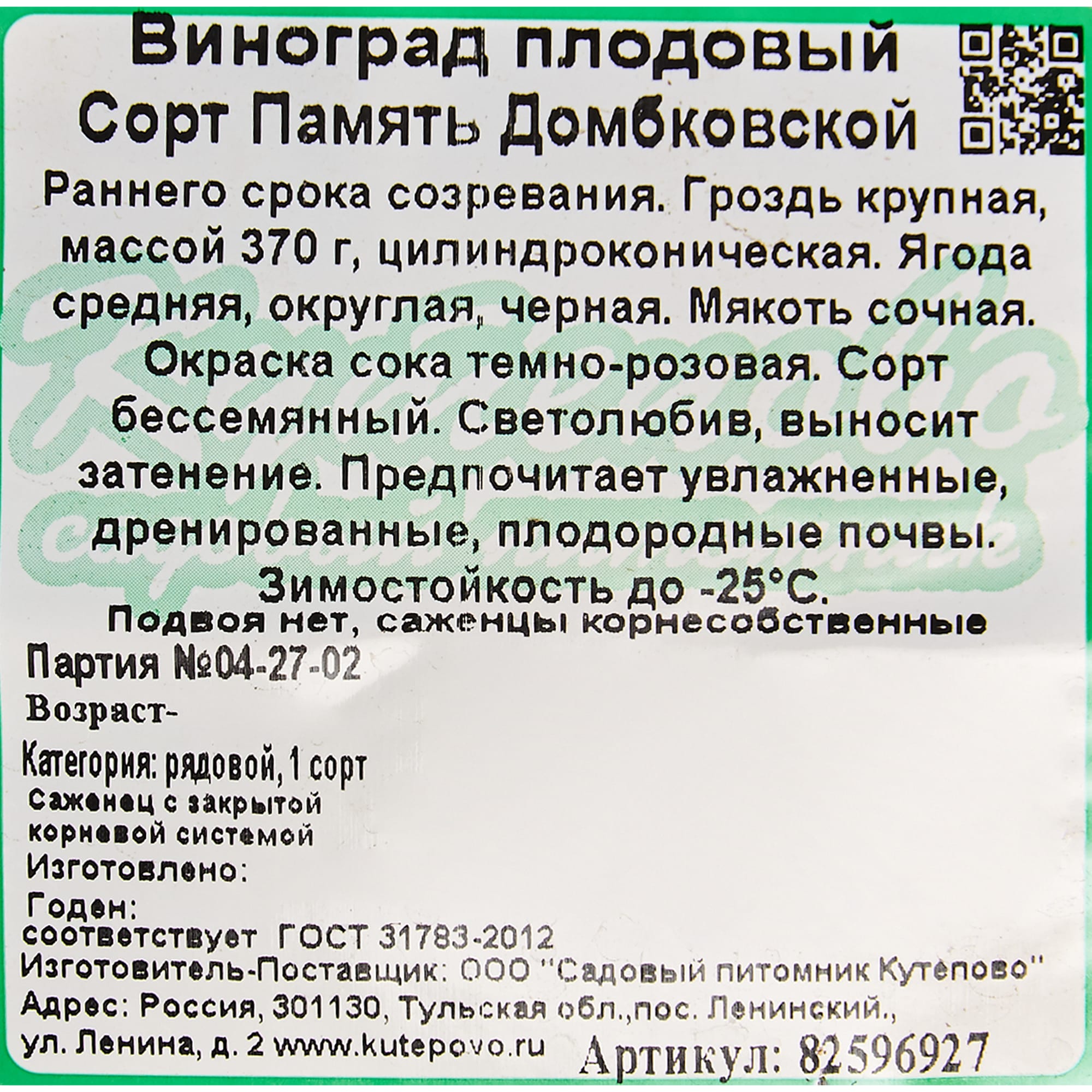 82596927 Виноград плодовый «Память Домбковской» C2 высота 50 см Santreyd  - Вид №1