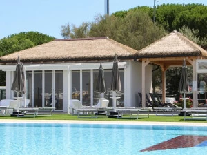 AFRICA STYLE Покрытие крыш из синтетической модульной черепицы Afrithatch Tm_kit