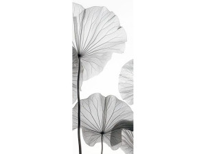 Наклейка на дверь