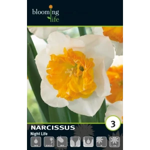 Луковицы нарцисса Найт Лайф 14/16 - многолетние белые цветы для сада 89433021