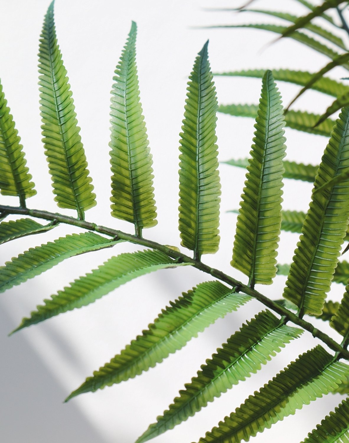 4914 883 a3 Имитация куста папоротника, 63 см, зелёная H-andreas  - Вид №3