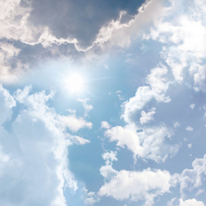 WP02024A Обои декоративные Adriani e Rossi