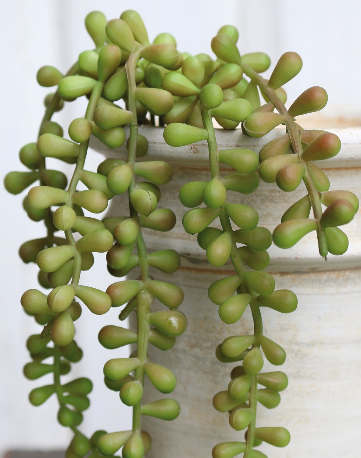 6051 849 a3 Искусственный суккулент, свисающий, 40 см, зелено-бордовый H-andreas 