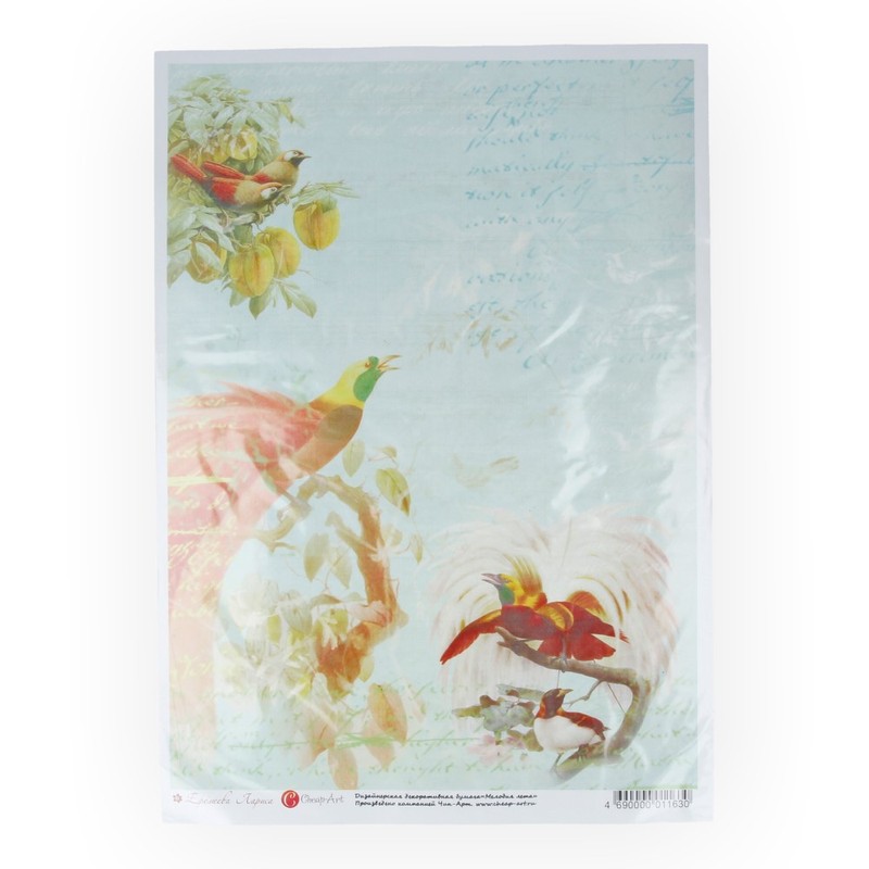 01163 Дизайнерская бумага 21 x 29.7 см "Мелодия лета мини" Чип-Арт 