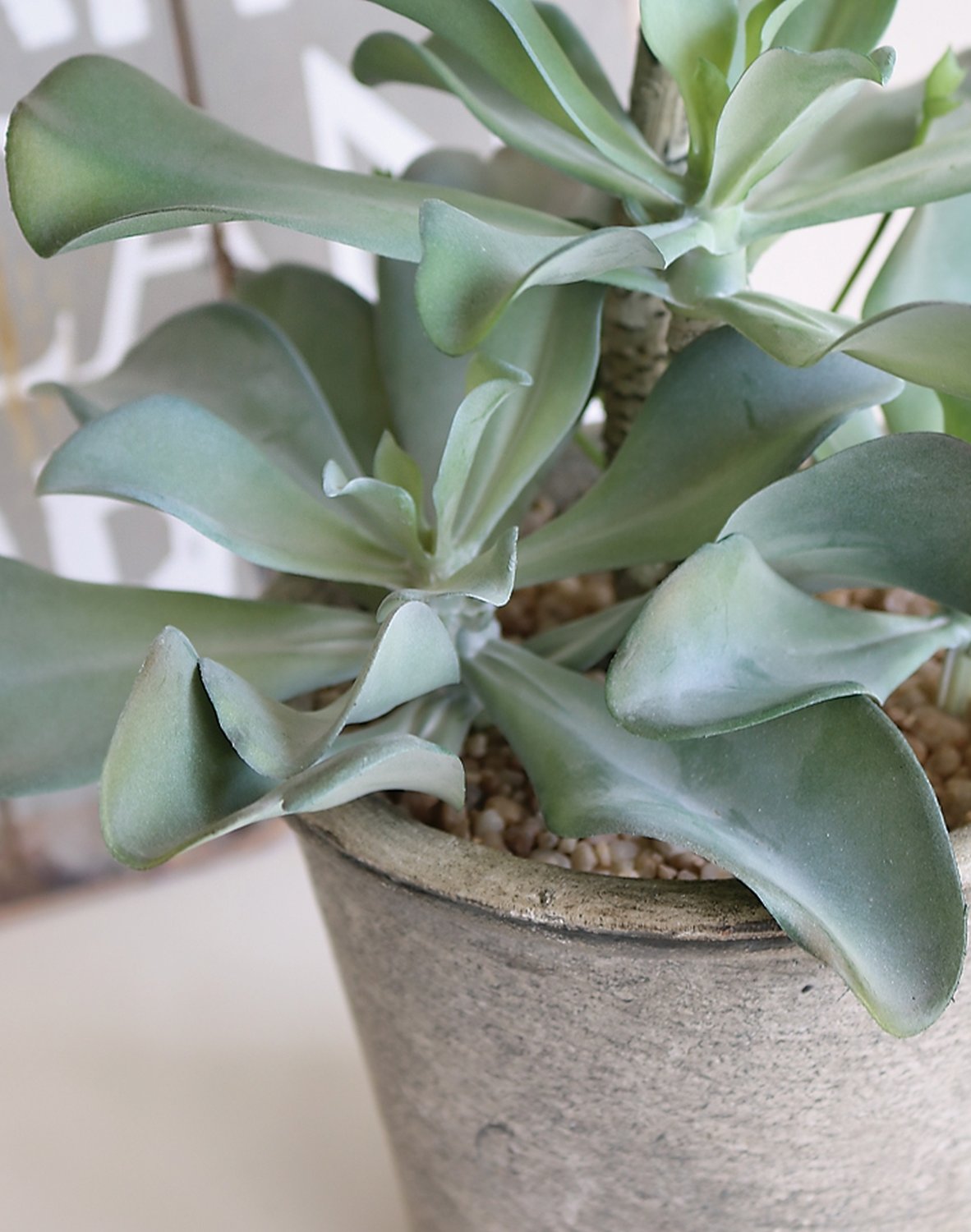 6047 883 a3 Искусственный суккулент, горшок, 38 см, зеленый H-andreas  - Вид №2