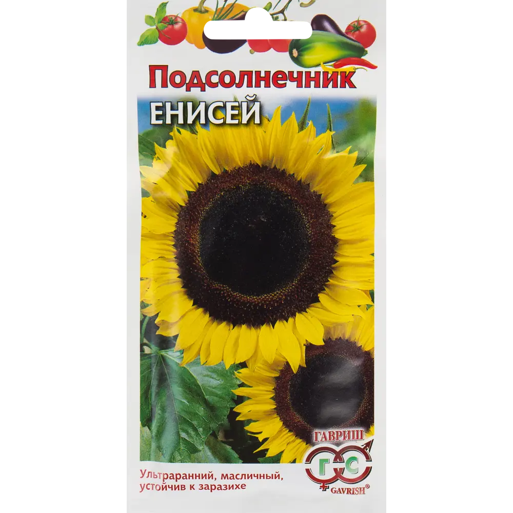 ГАВРИШ Подсолнечник Енисей — ультраскороспелый сорт с крупными корзинками 82472734 STLM-0027811