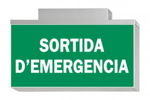 DST-2813 Lisu ceiling-mounted Daisalux Светильники сигнальные Серебристо-Серый