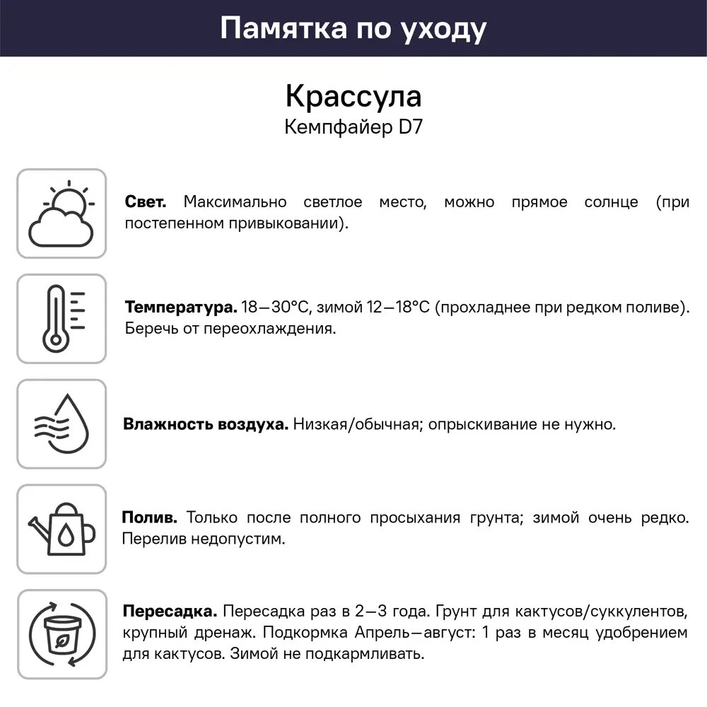Крассула Кемпфайер ø7 h4 см 89447829 STLM-2180427 Santreyd  - Вид №3