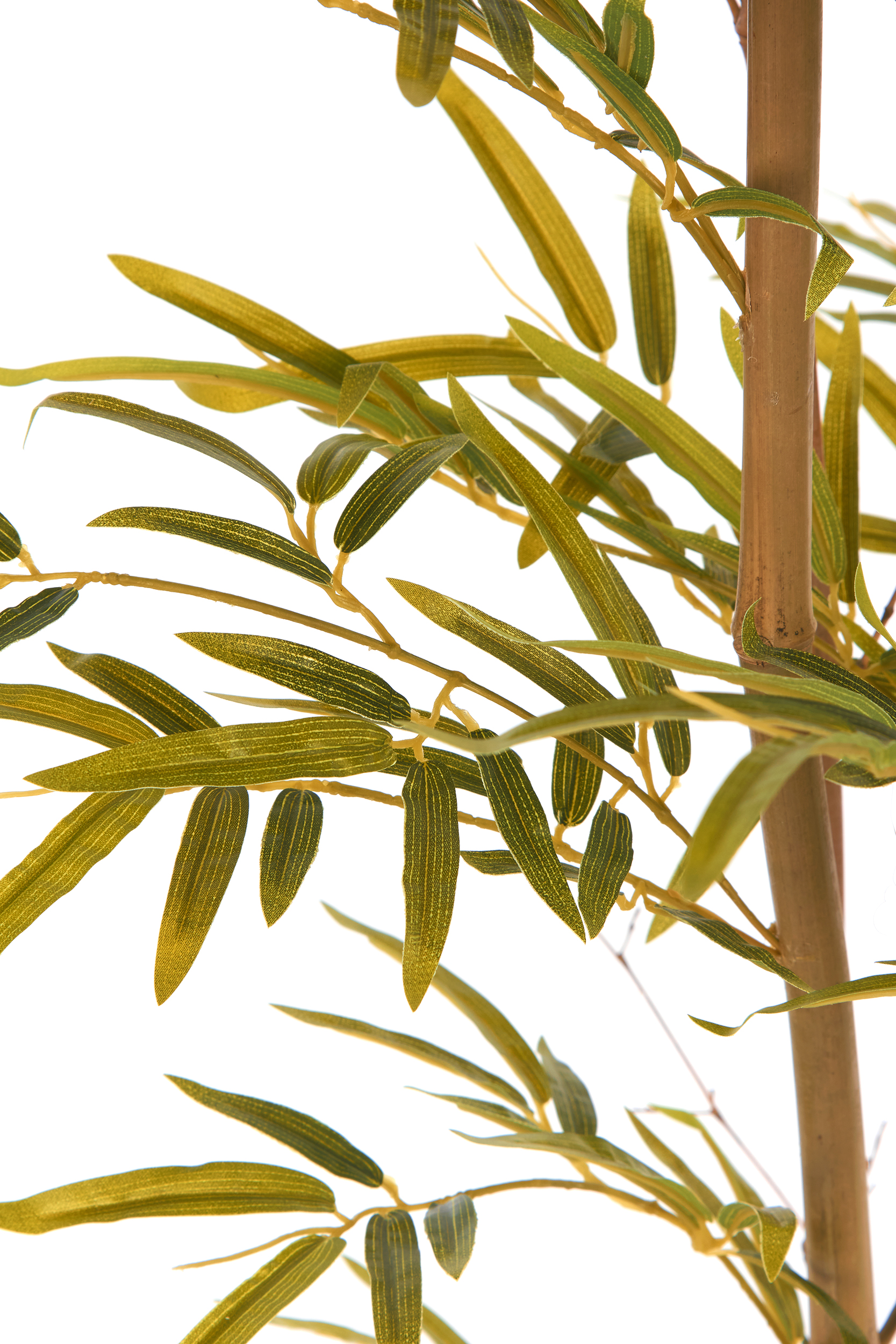 2000983223319 Бамбук высота 190 см GUDEE  - Вид №2