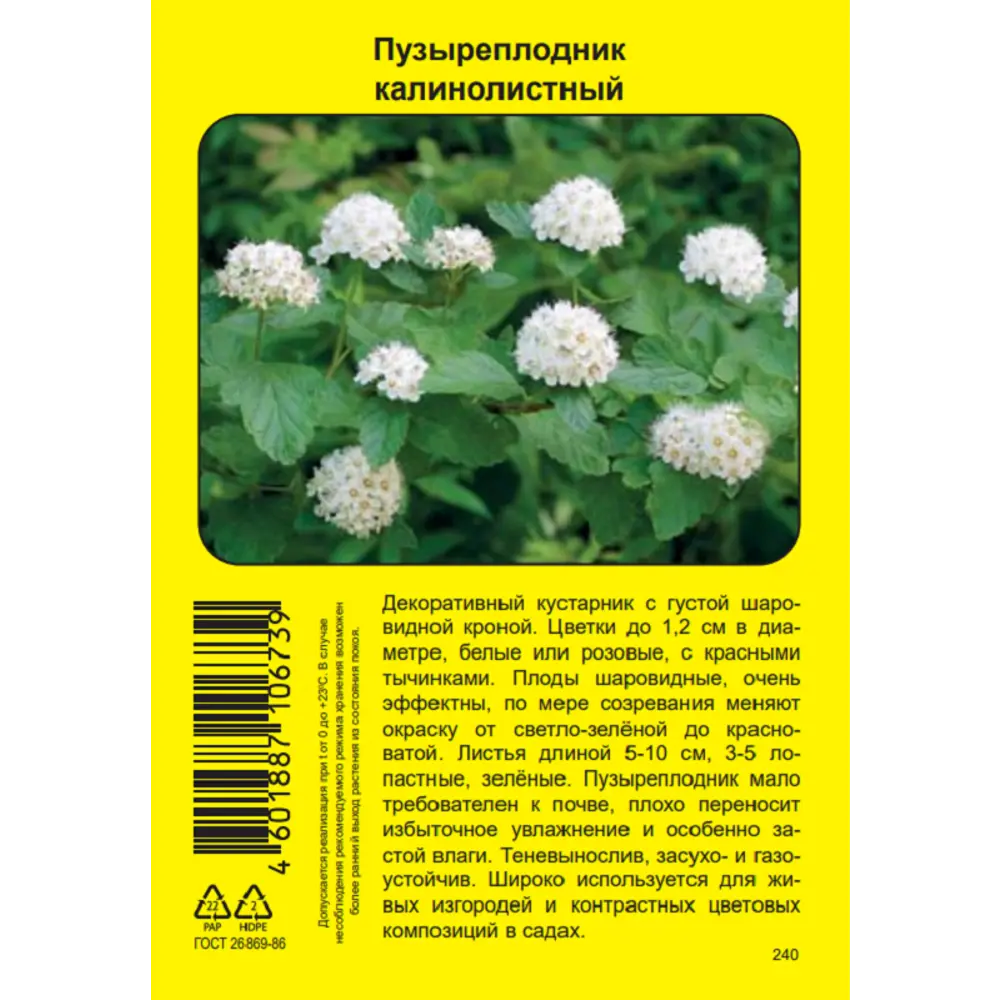 Спирея/Пузыреплодник калинолистный Промо ø5 h37 см 89452405 STLM-2049854 Santreyd  - Вид №2