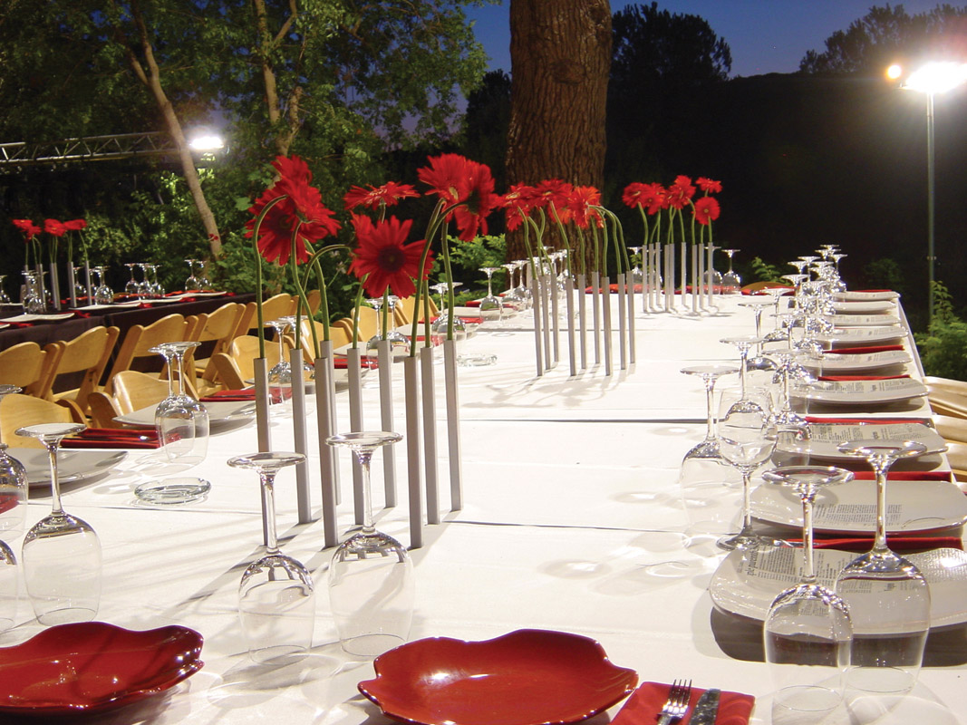 PE543 Набор магнитных ваз magnetic vase серебристый Peleg Design  - Вид №2