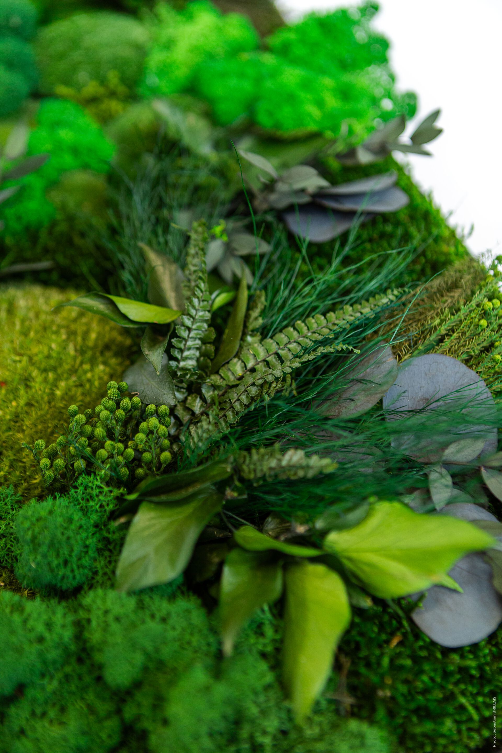 Растительная картина в лишайниках Tecsound PureKustik ARCH-00093539 - Вид №11