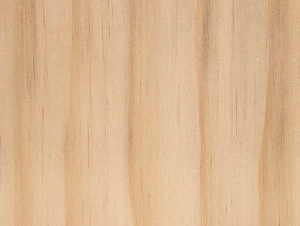 BELLOTTI Террасная доска accoya® Pavimenti per esterni