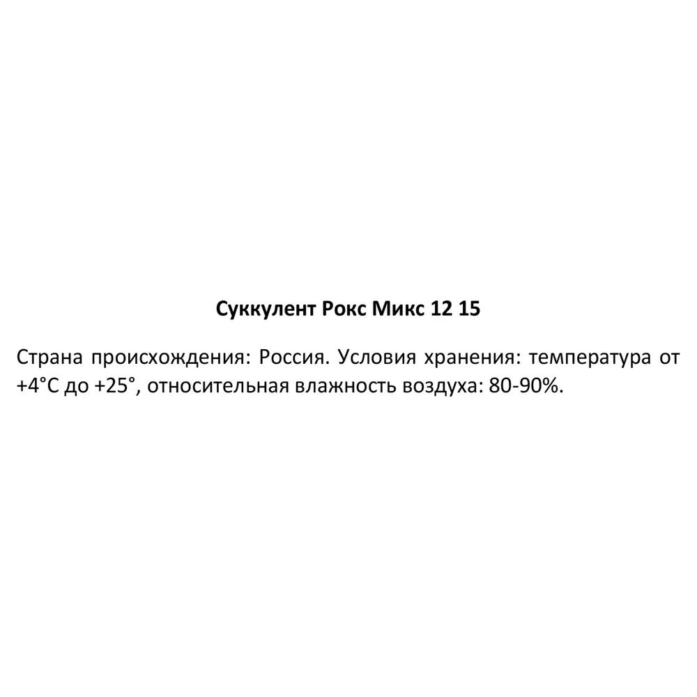 Santreyd Суккулент Рокс микс - живой декор для интерьера 87819731 STLM-0075901 - Вид №4