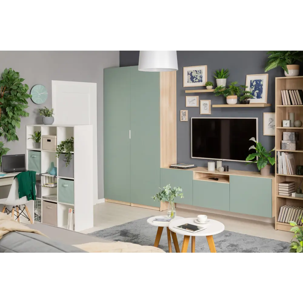 Каркас шкафа Santreyd Лион для модульной системы хранения 85207701 STLM-0059922 - Вид №10