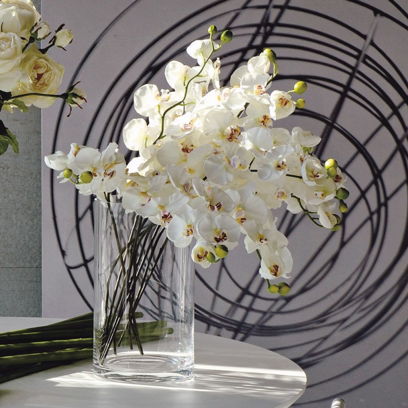 L21X10 Цветок орхидеи Adriani e Rossi 