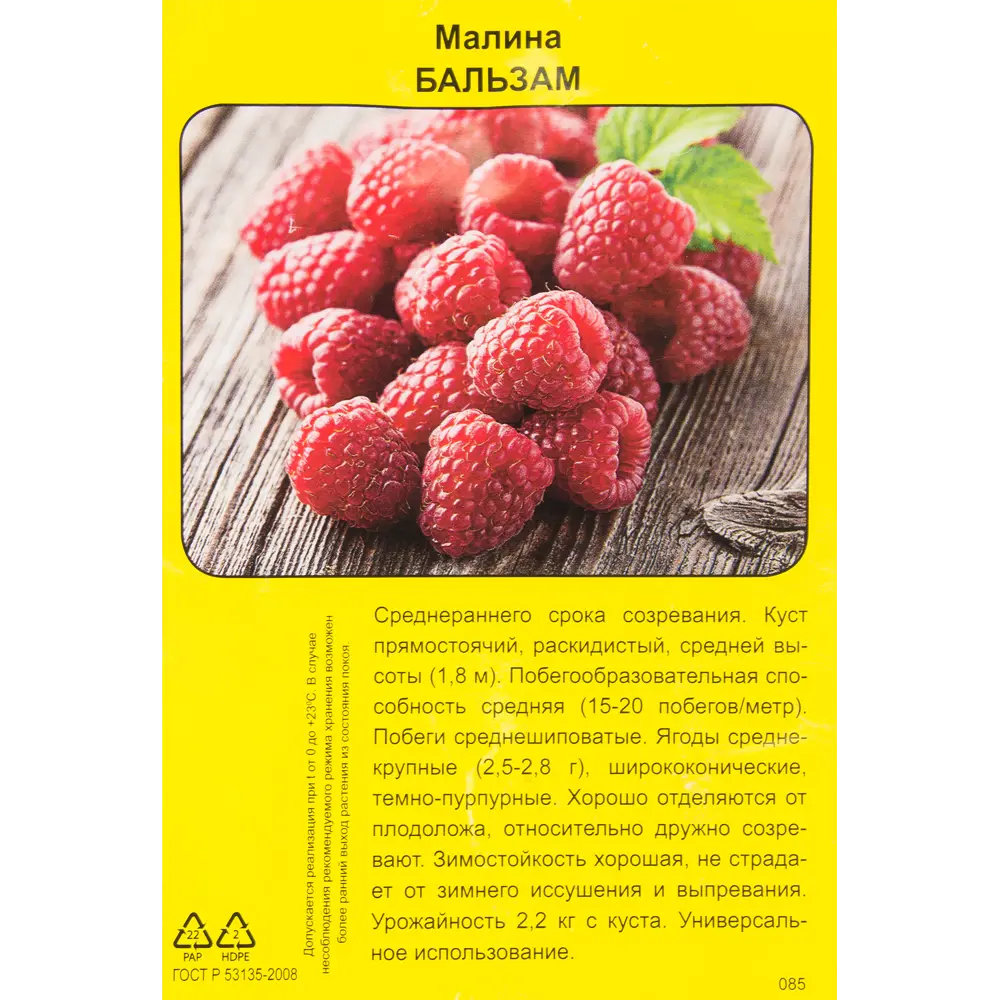 Малина Бальзам h40 см 83791450 STLM-2078316 Santreyd  - Вид №1