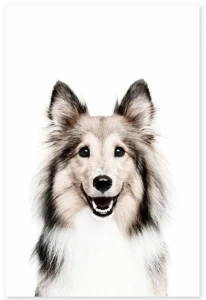 Groovy Magnets Клейкое виниловое украшение  St-92x60-d