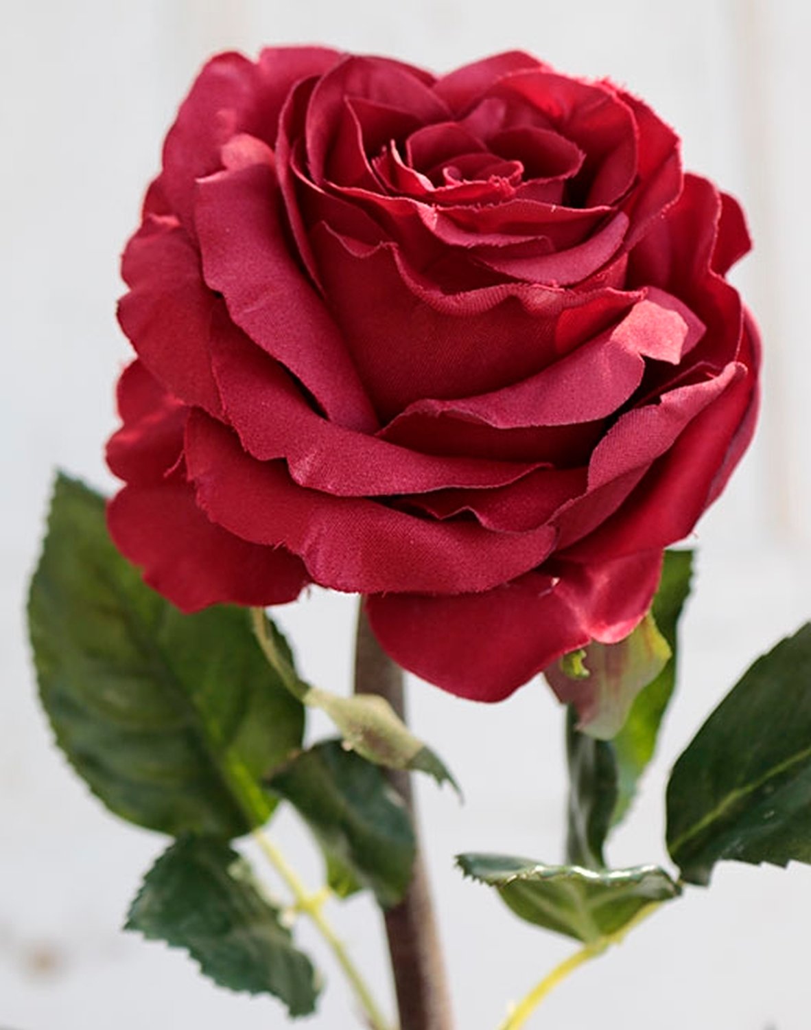 2313 444 a2 Пластиковая роза 'Curiosa', 77 см, красная H-andreas  - Вид №1