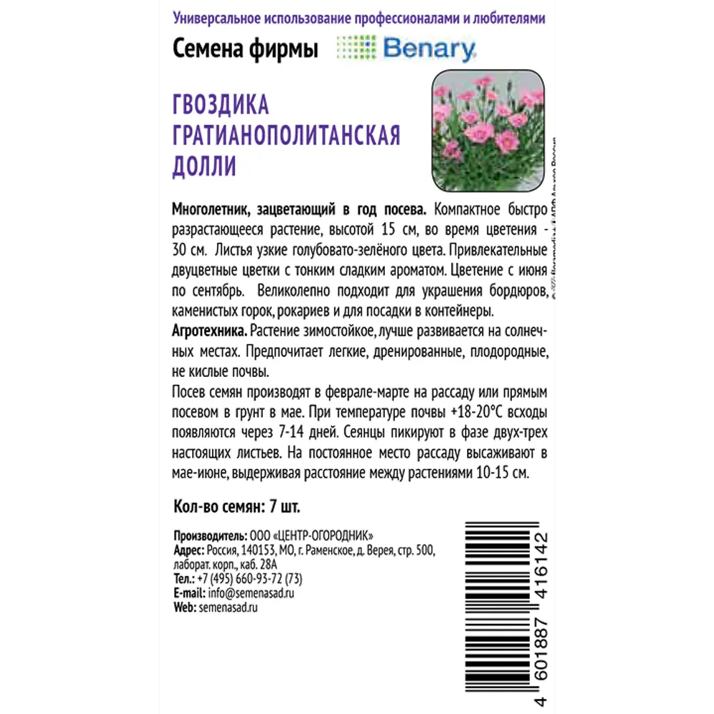 Гвоздика гратианополитанская Долли от ПОИСК - белоснежное украшение сада 89401278 STLM-1566443 - Вид №1