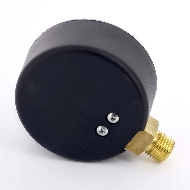 Манометр радиальный F+R200 1/4" 63 мм WATTS Ind 25 бар 10007726 - Вид №2