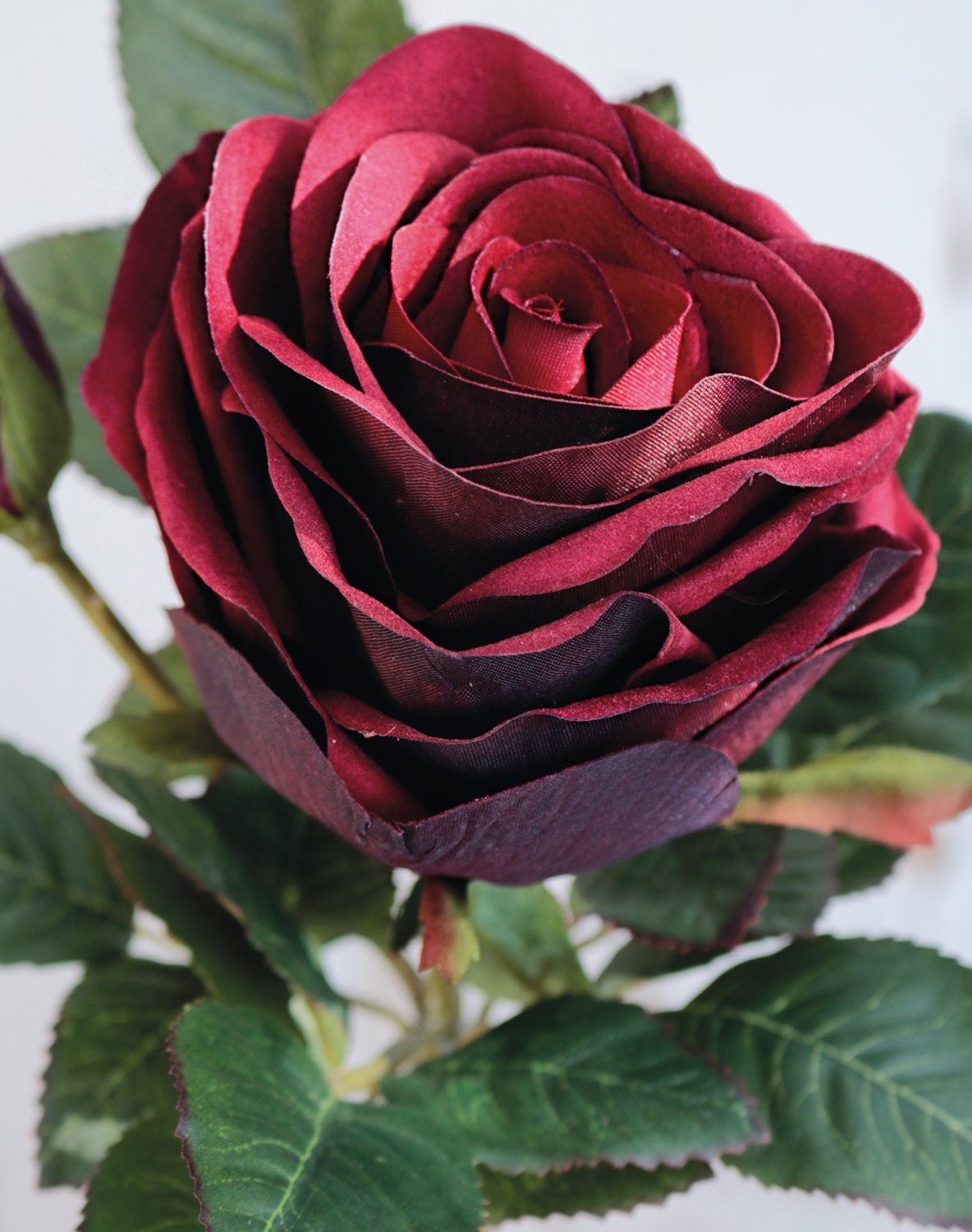 9815 442 a3 Искусственная роза, бархат, 1 цветок, 1 бутон, 23 см, бордовый H-andreas 