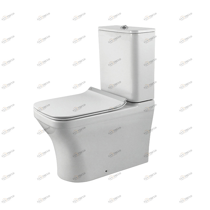 Контейнер с регулируемым выходом C / C "без ободка" Комплект с задним левым входом бачка 4,5 / 3 л  Forma oval NOKEN 100274950  WHITE 