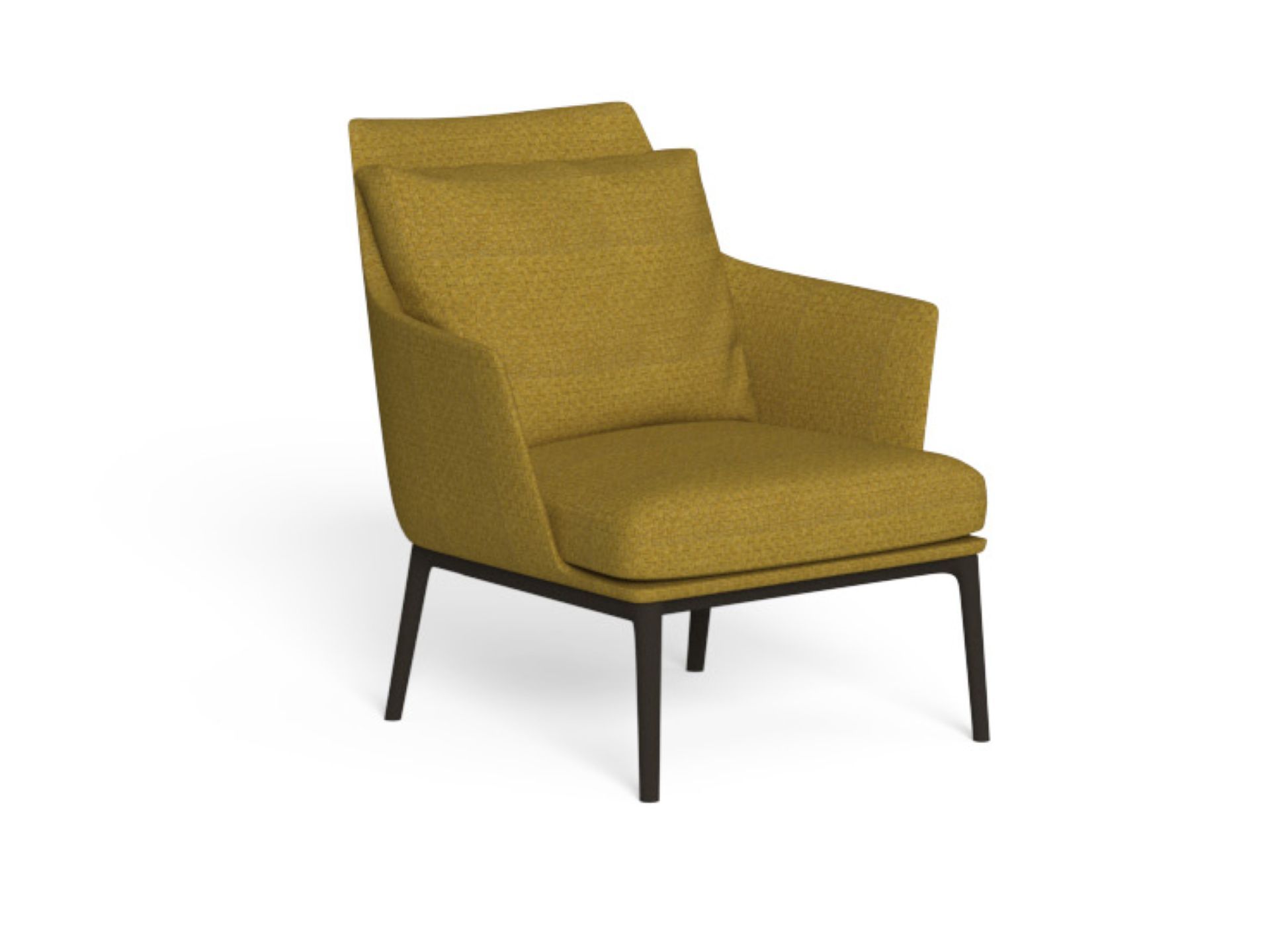 Садовое кресло с подлокотниками Talenti Elton ARCH-00096396 - Вид №4