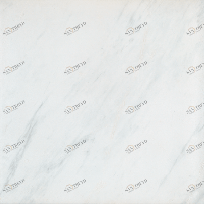 Carrara BIANCA D2169/60P02B 60х60 IRIS Ceramica sun-id-310431