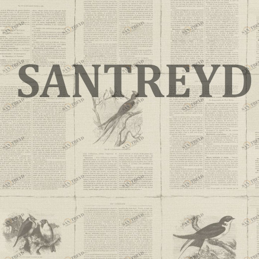 401615 Обои Rasch Lazy Sunday II