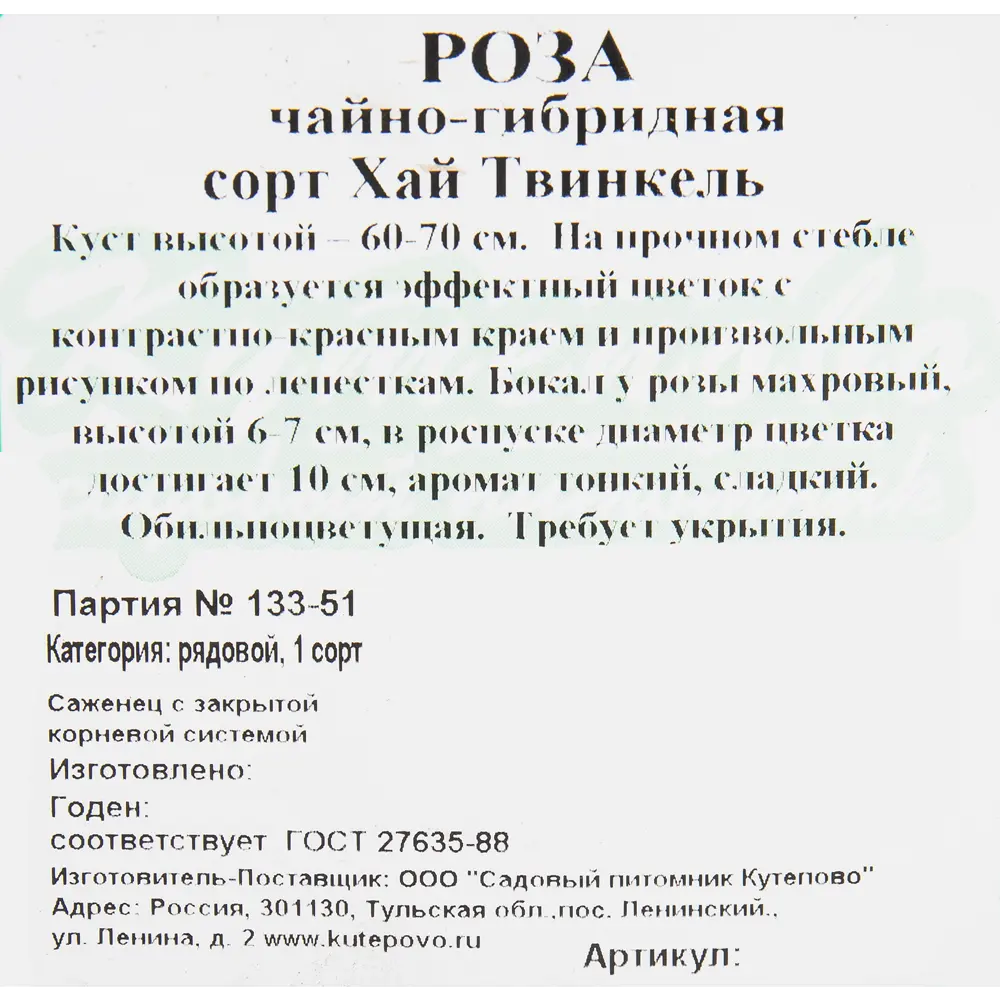 Роза чайно-гибридная «Хай Твинкл» 15x30 см 82594799 STLM-2135752 Santreyd  - Вид №1