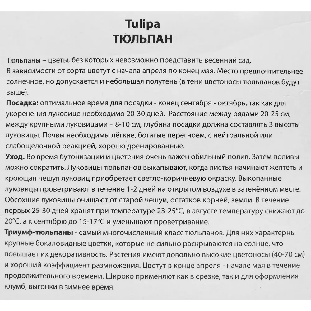 Тюльпан Триумф Том Паус, 5 шт ПОИСК STLM-2083527 - Вид №2