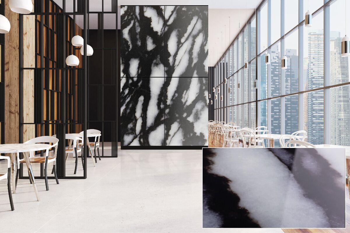 FSRT380 Стекло Vivispectra Zoom с прослойкой echeveria elegans Forms-surfaces  - Вид №1