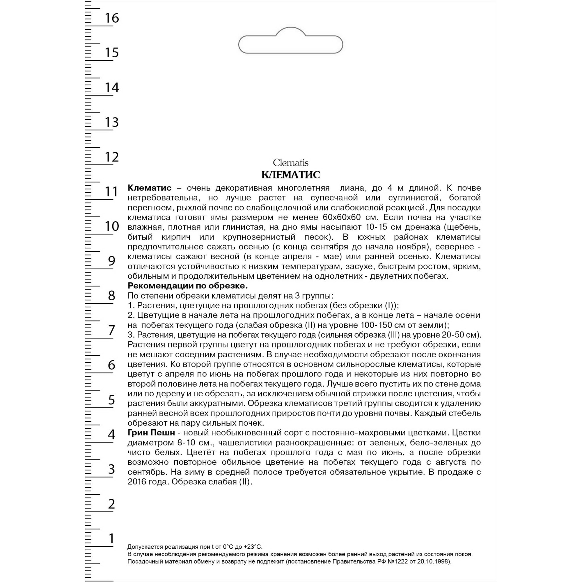82527431 Клематис крупноцветковый Грин Пассион в капере Santreyd  - Вид №1