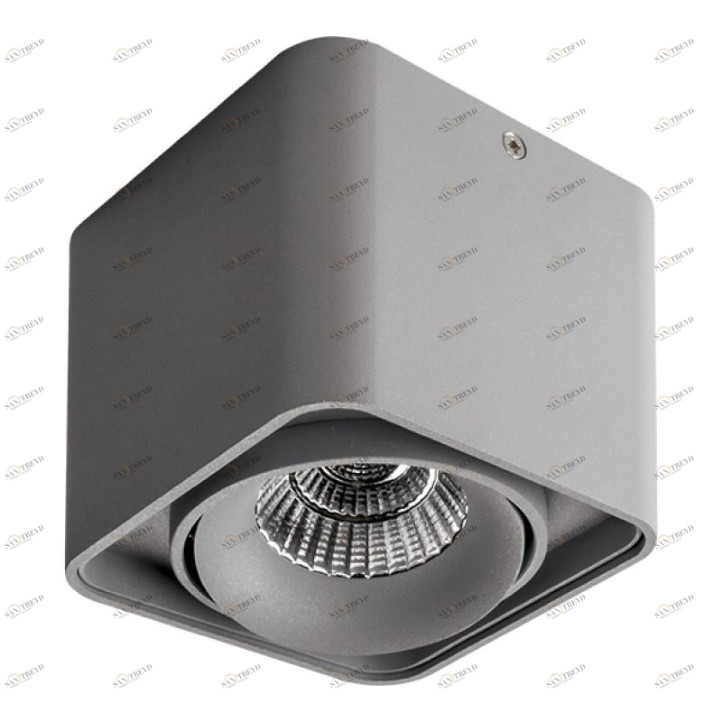 Потолочный светильник Lightstar Monocco 212519 LIGHTSTAR MONOCCO 083156 Серый 