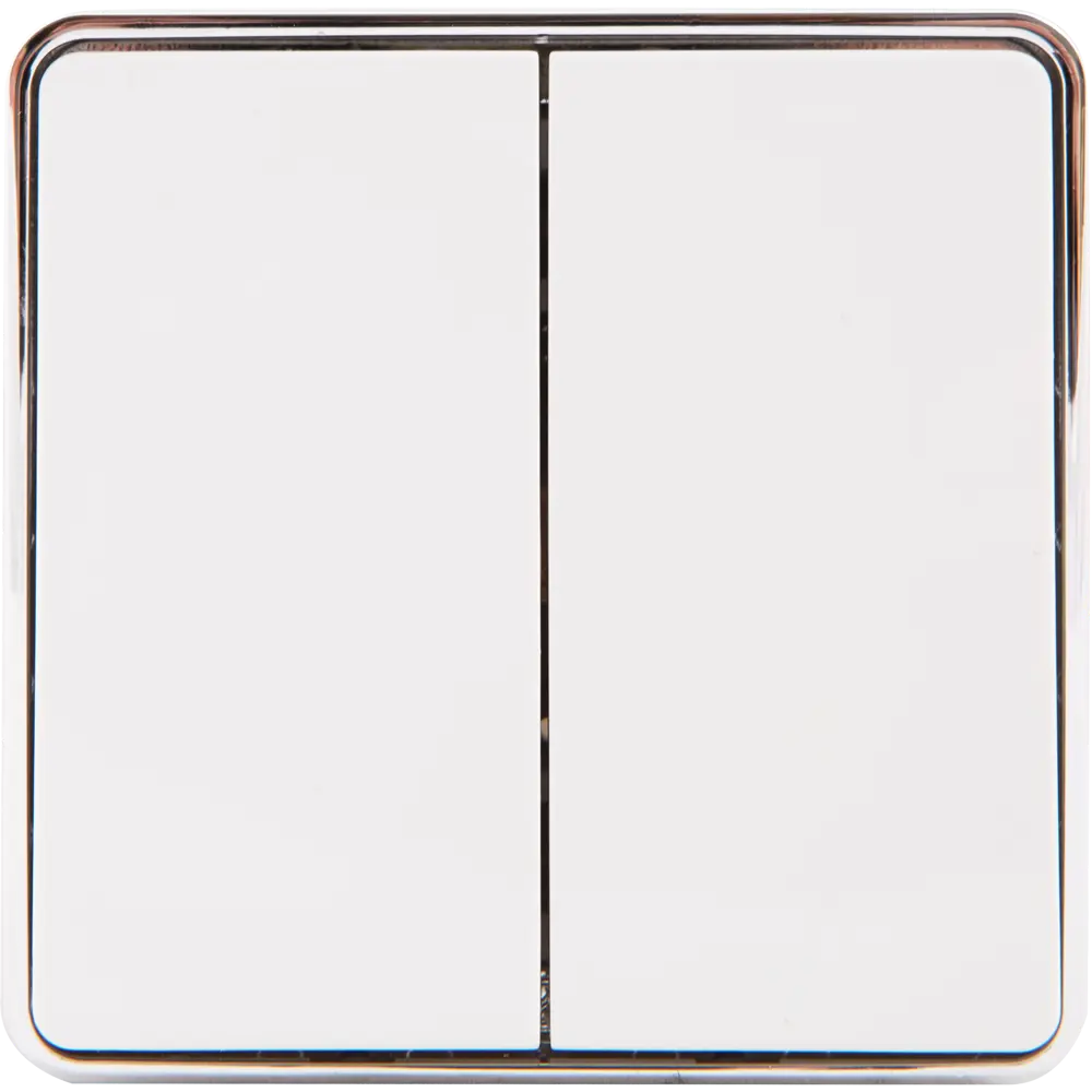 WERKEL Gallant — накладной выключатель с металлическим ободком, 2 клавиши, белый 82036810 STLM-0018128