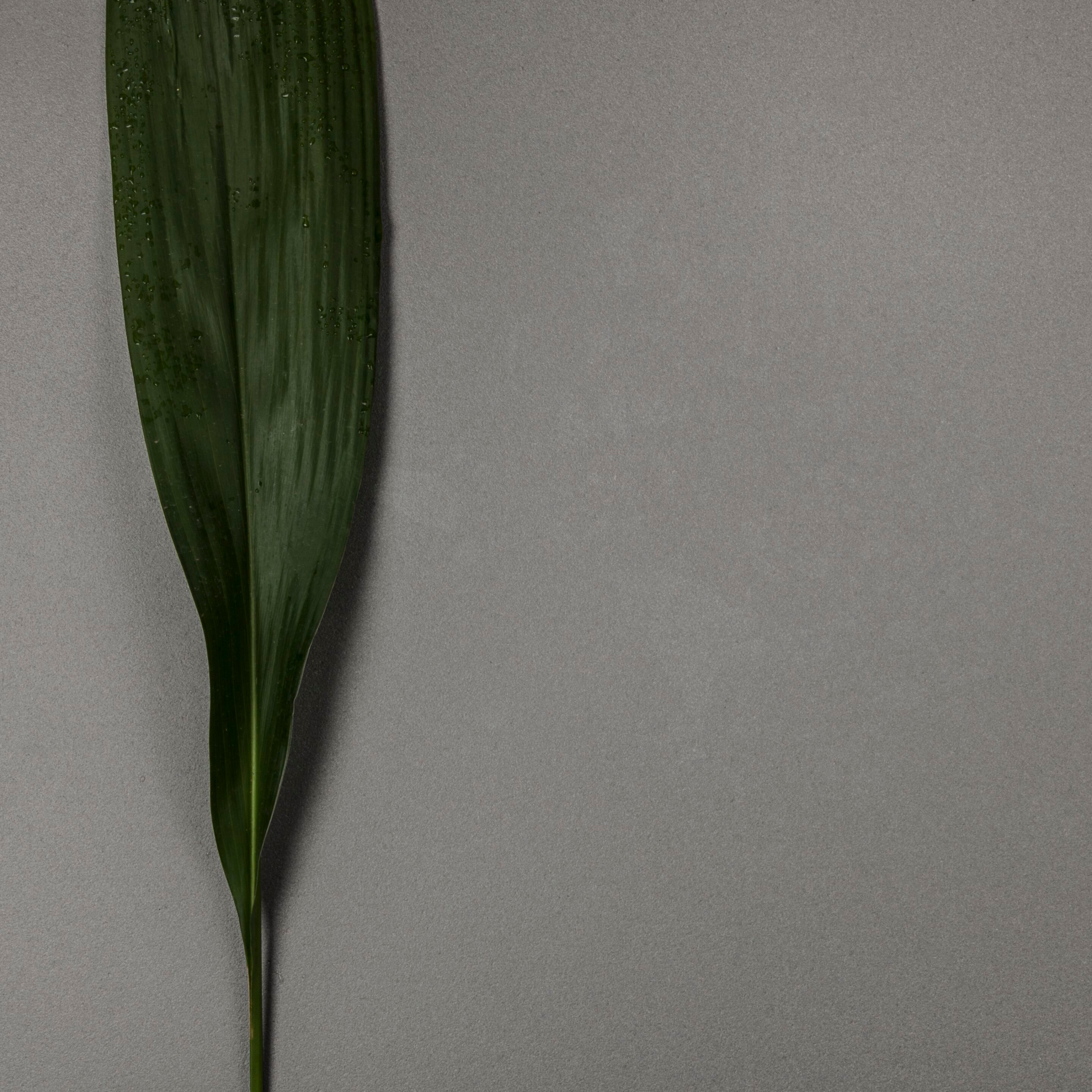 Напольное покрытие Lapitec® Musa ARCH-00048845 - Вид №5