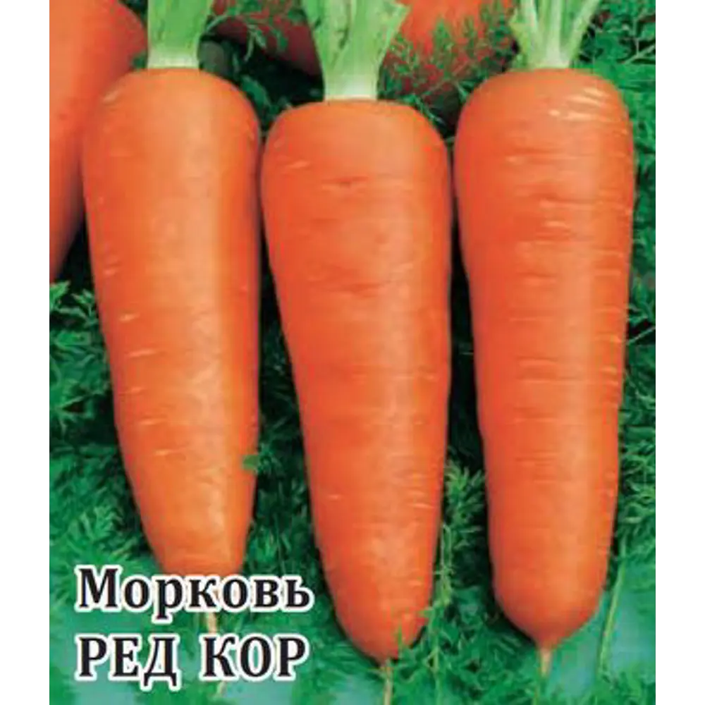 Семена Морковь Ред кор Гавриш 13902978 STLM-2029229  - Вид №1