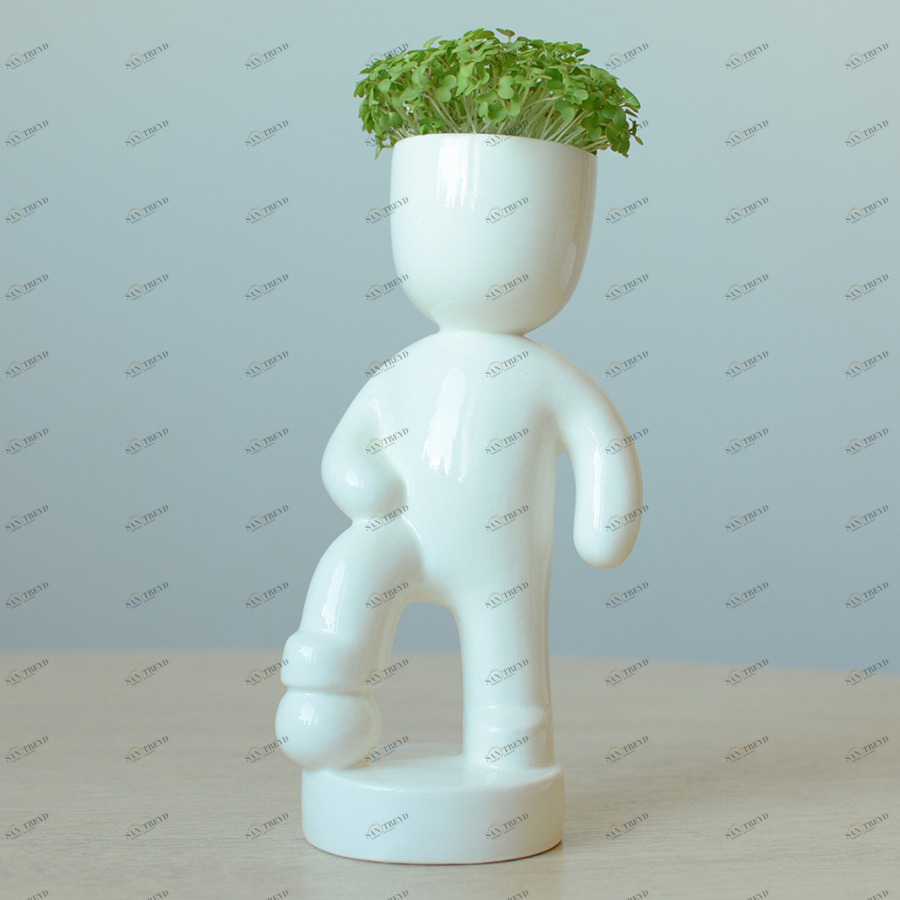 Набор для выращивания eco "Футболист" ЭКОЧЕЛОВЕКИ  254609 Белый 